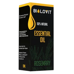 Pudełko i buteleczka na tle gałązek rozmarynu