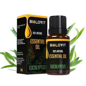 Pudełko i butelka w tle zielone liście eukaliptusa